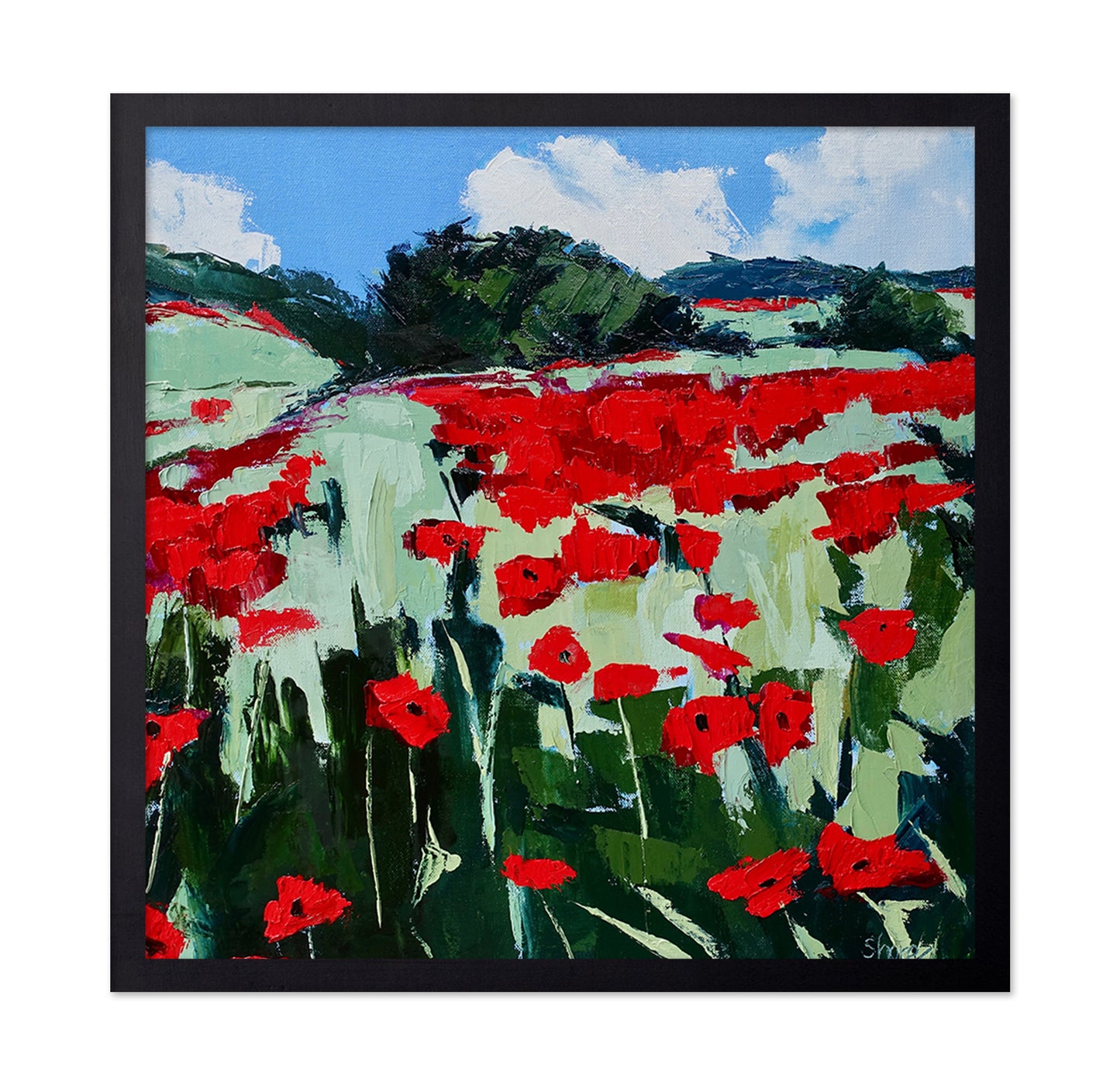 Red Poppy Field