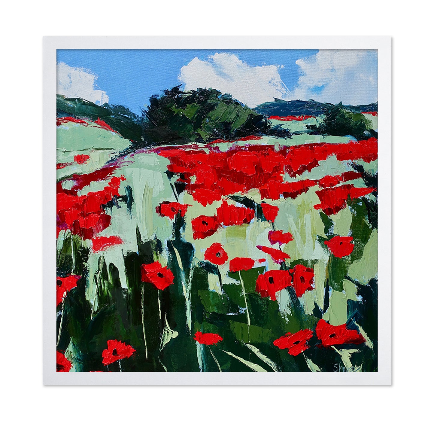 Red Poppy Field