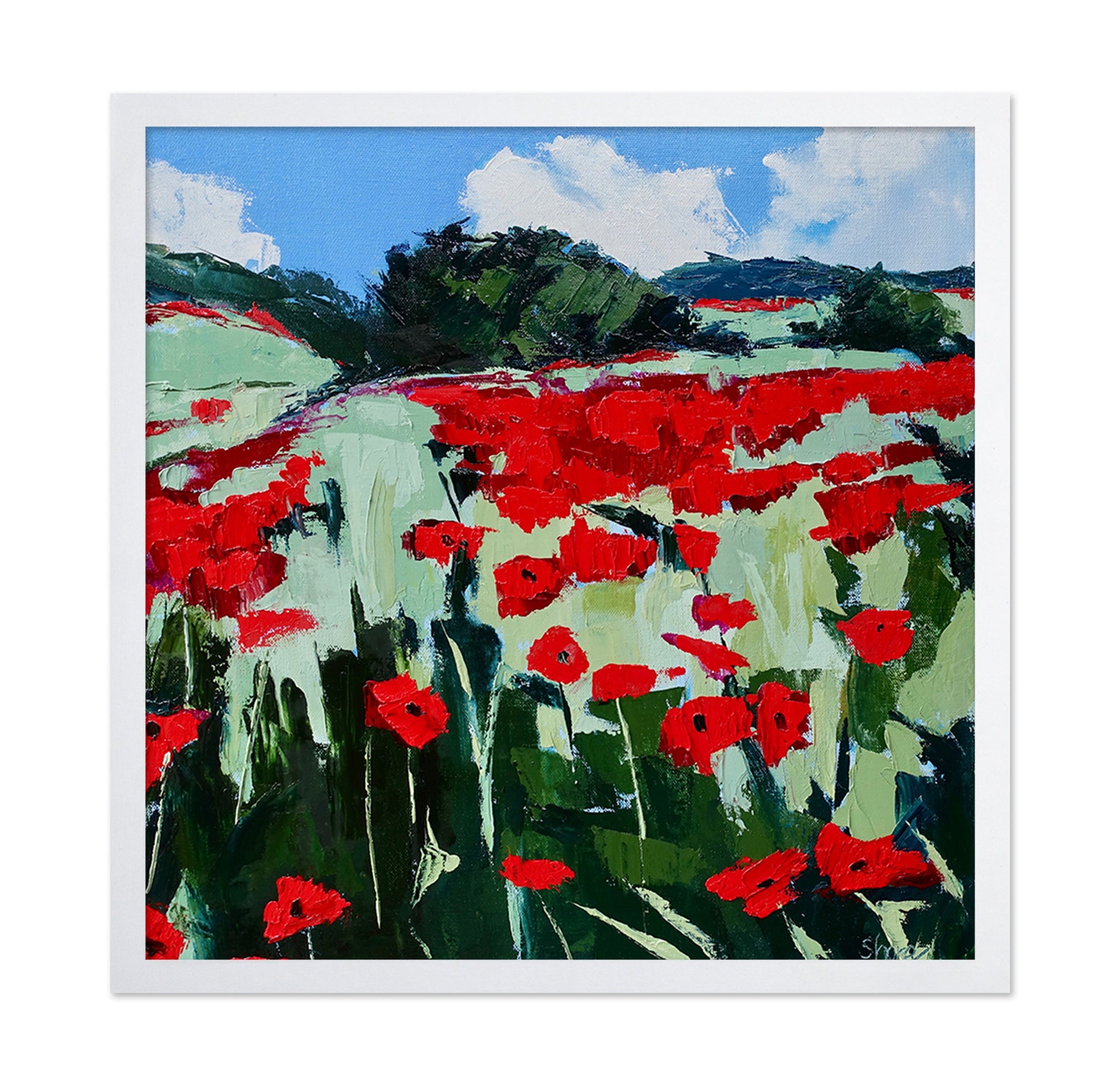 Red Poppy Field