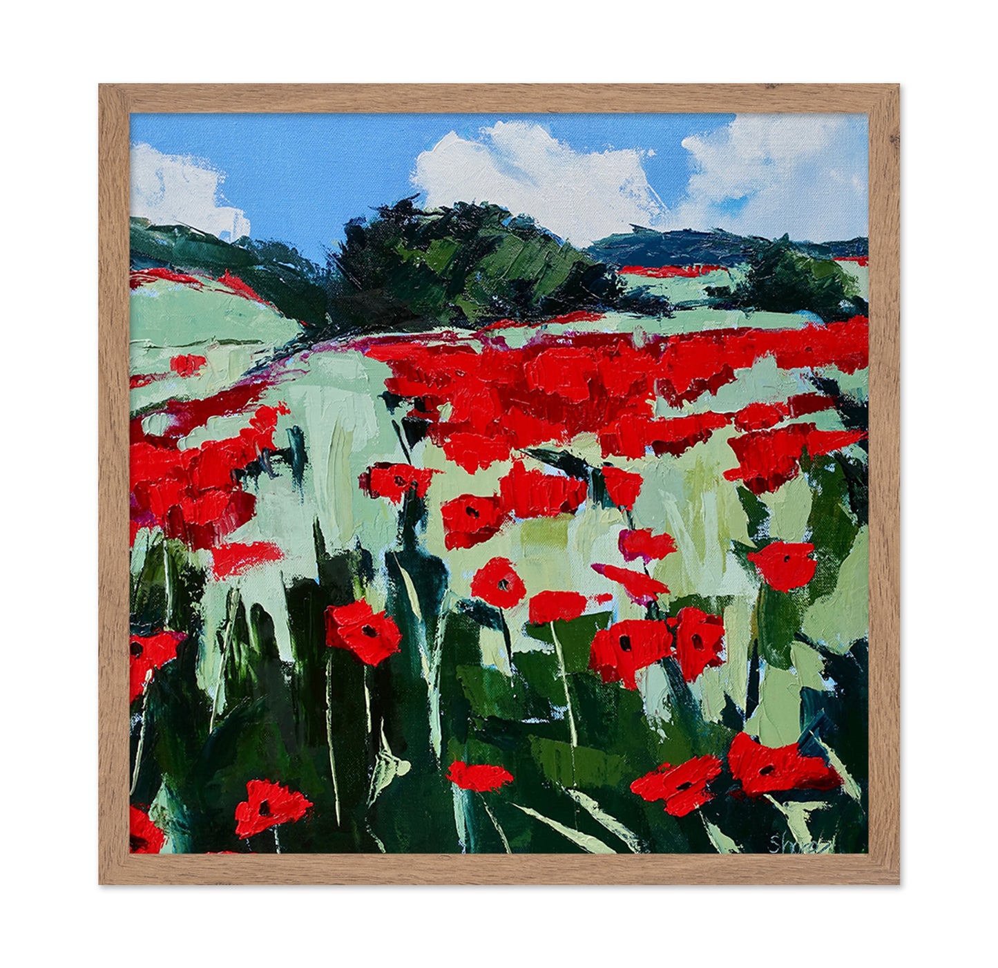Red Poppy Field