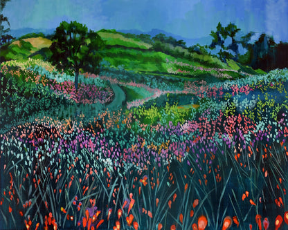 Wildflower Meadow Path No1