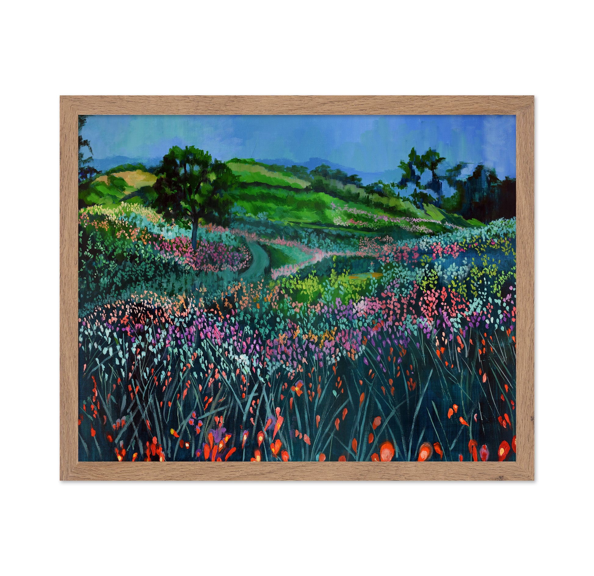 Wildflower Meadow Path No1