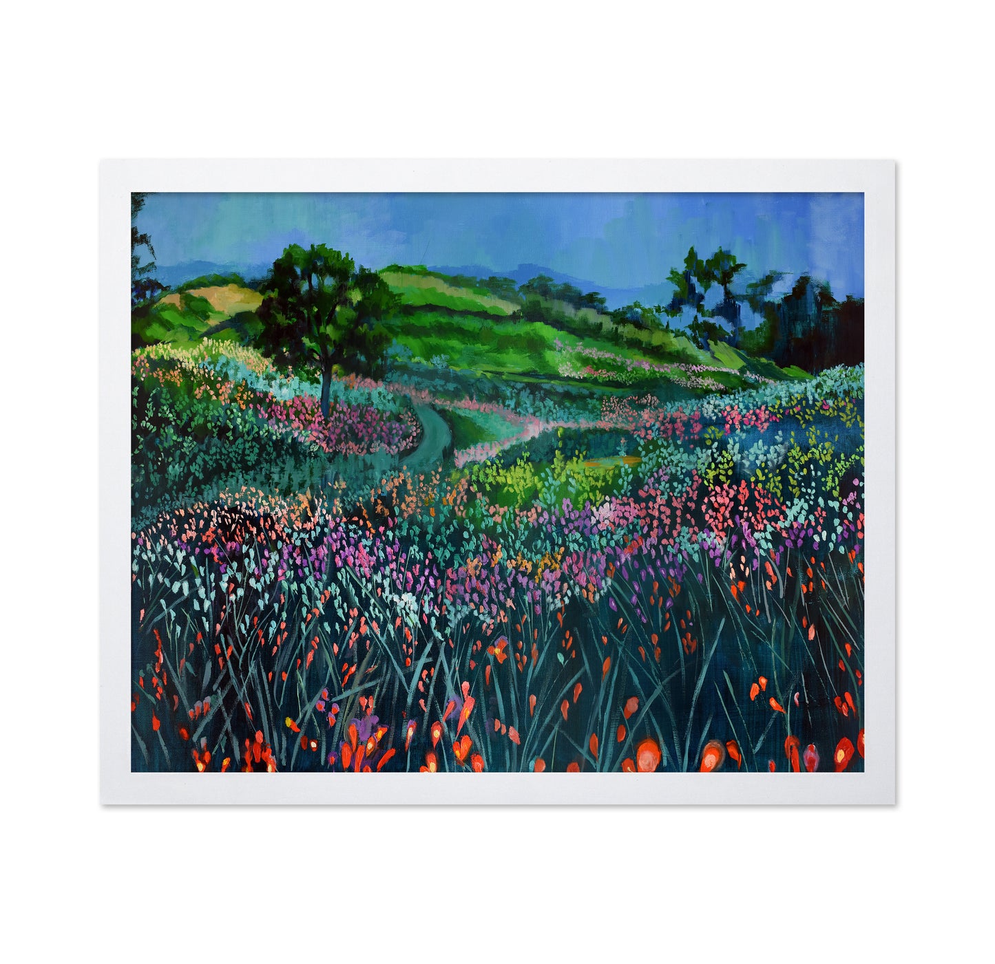Wildflower Meadow Path No1
