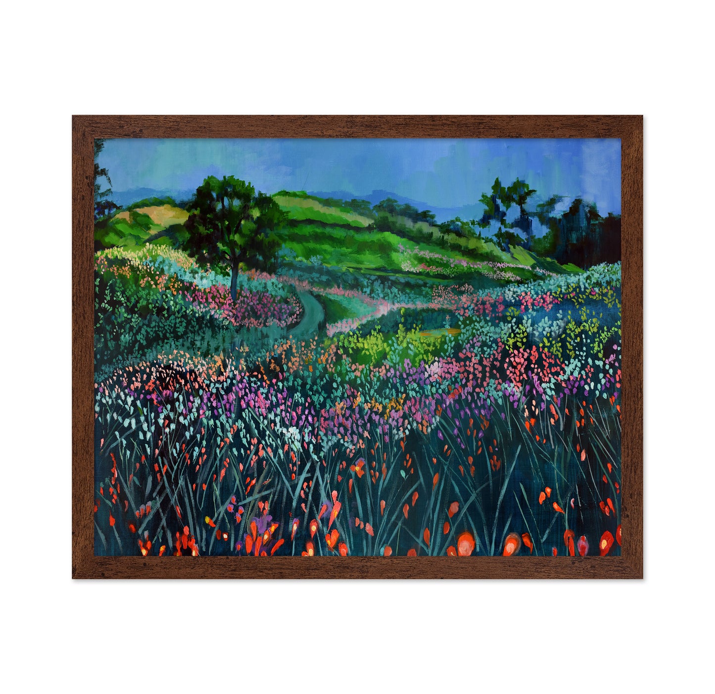 Wildflower Meadow Path No1