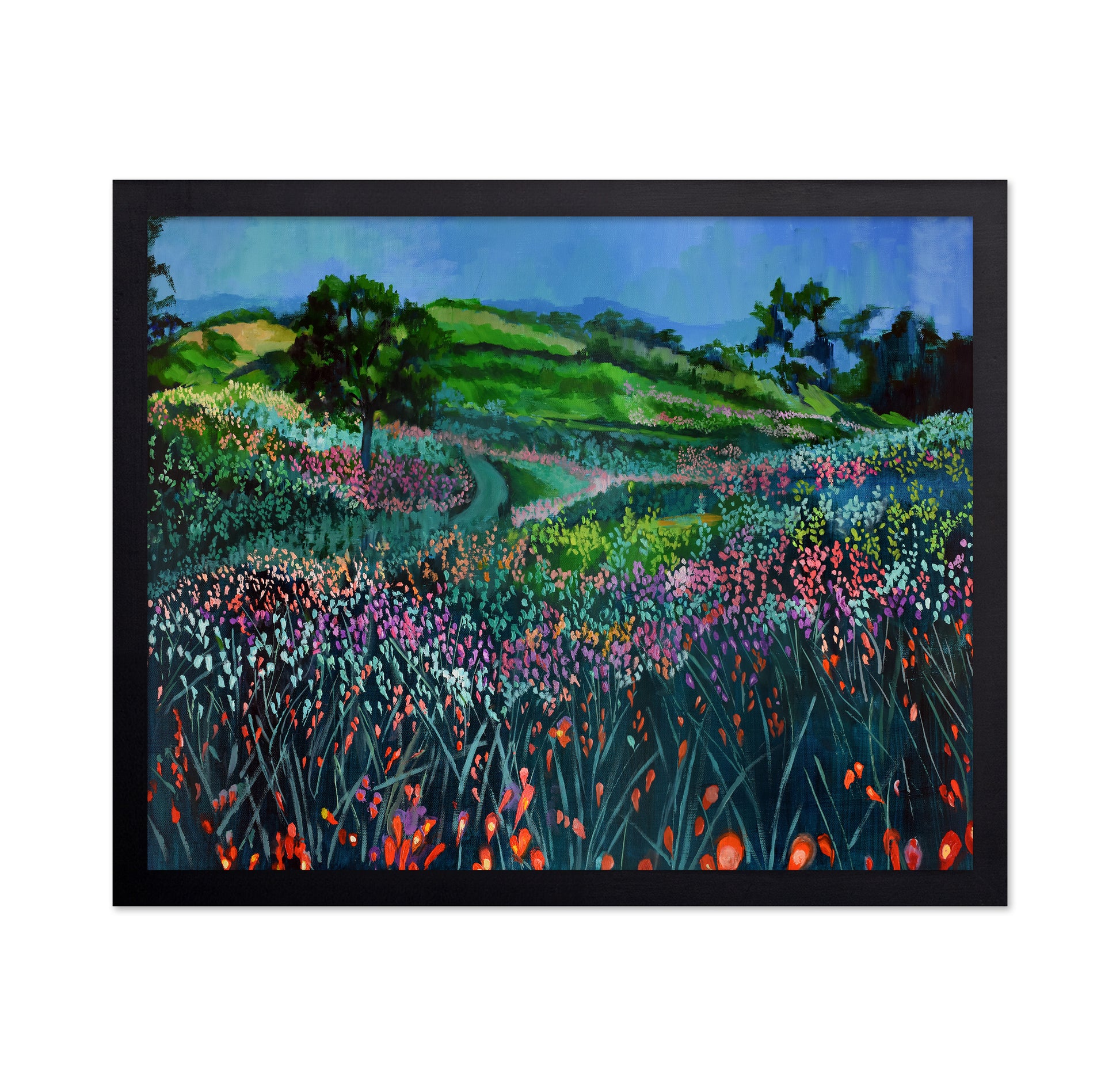 Wildflower Meadow Path No1