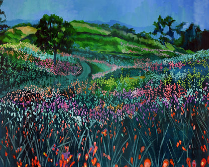 Wildflower Meadow Path No2
