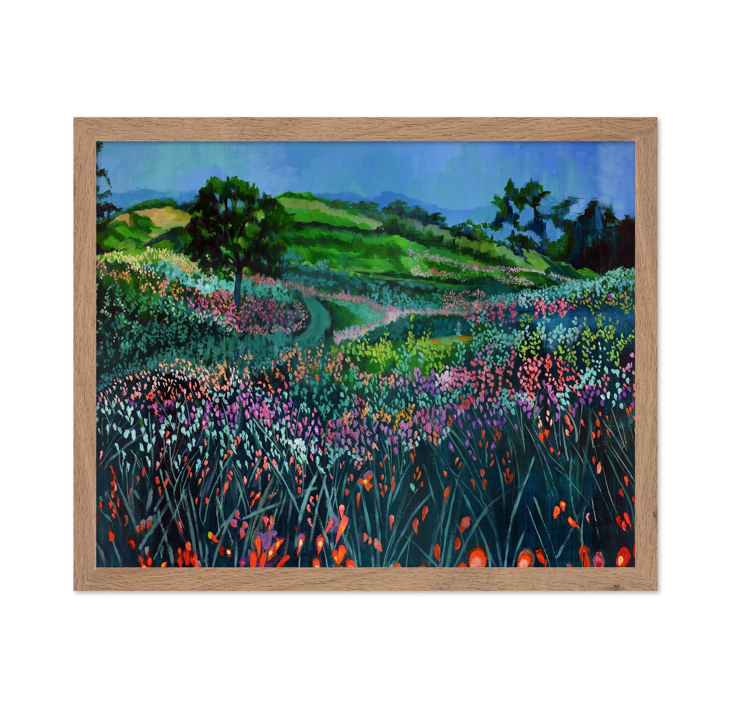 Wildflower Meadow Path No2