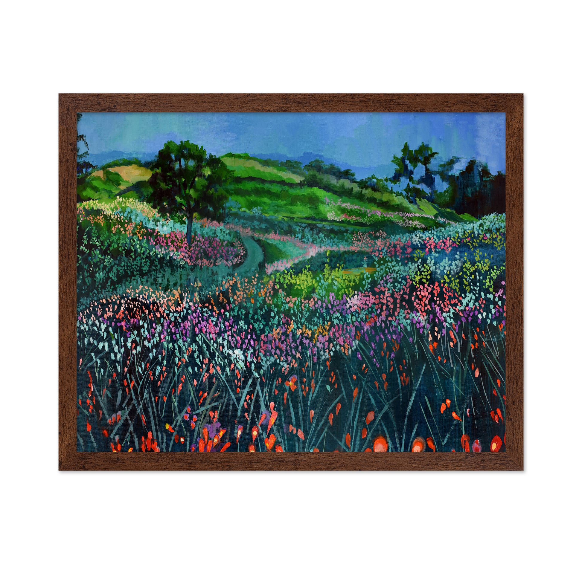Wildflower Meadow Path No2