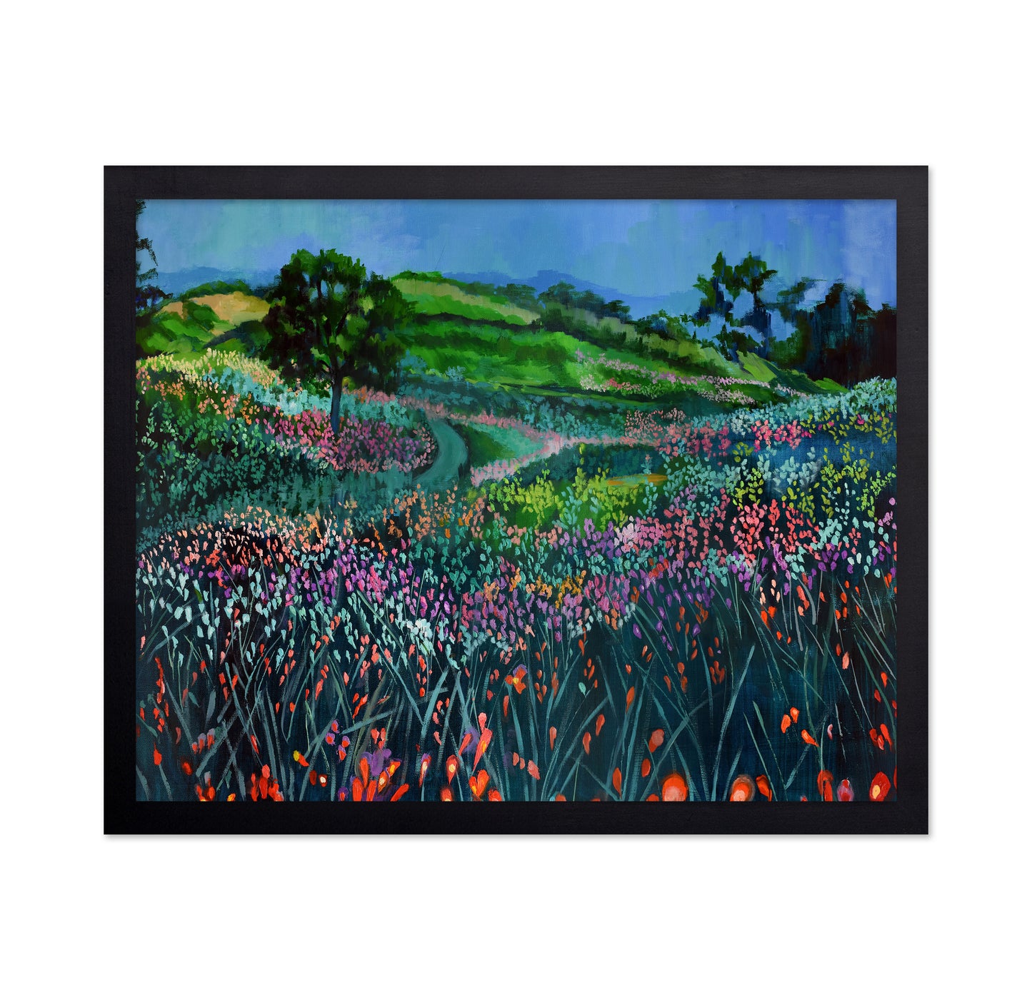 Wildflower Meadow Path No2