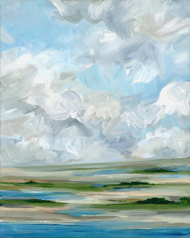 Midday Marsh Sky