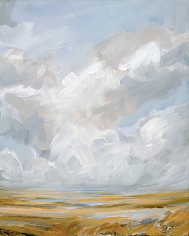Prairie Sky