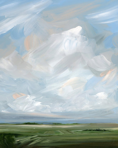 Open Sky Fields