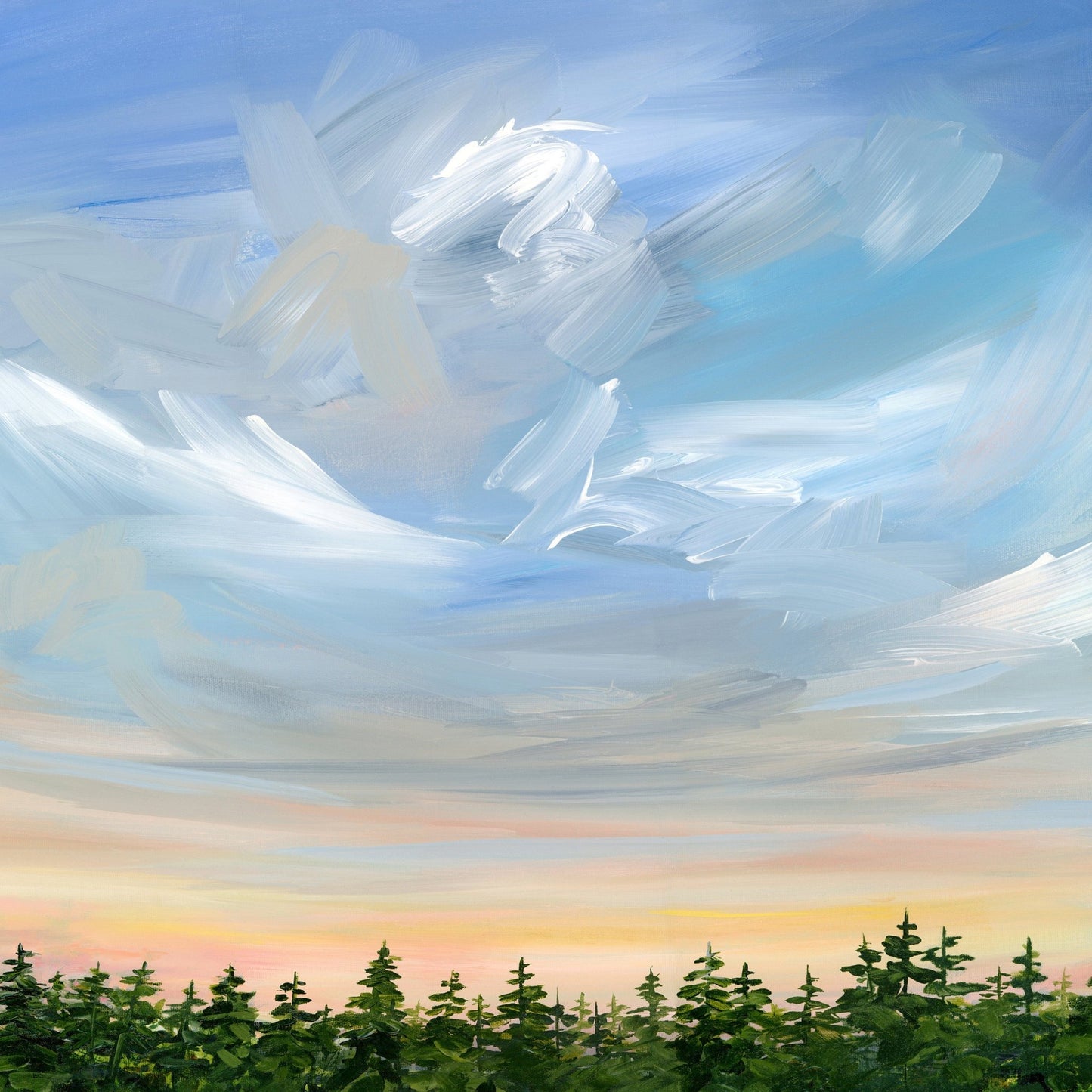Sky Over Pine Forest