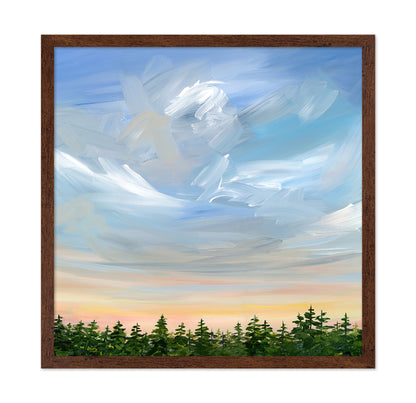 Sky Over Pine Forest