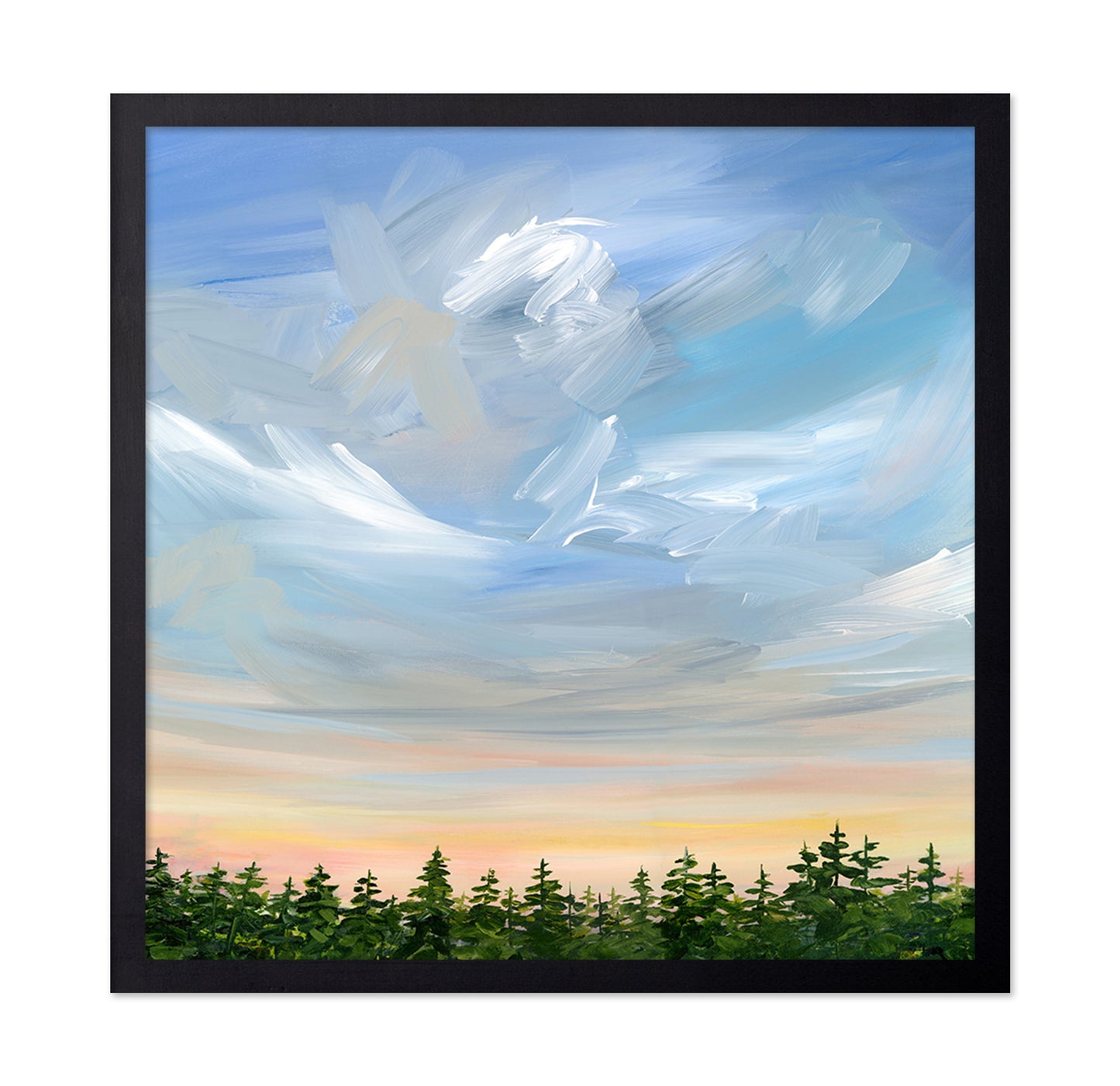 Sky Over Pine Forest