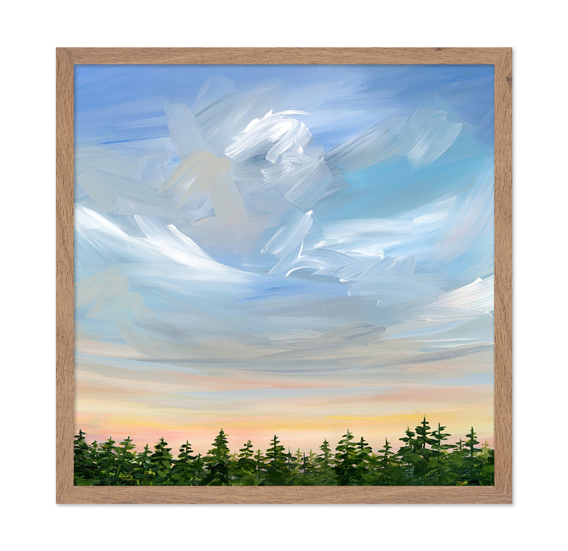 Sky Over Pine Forest