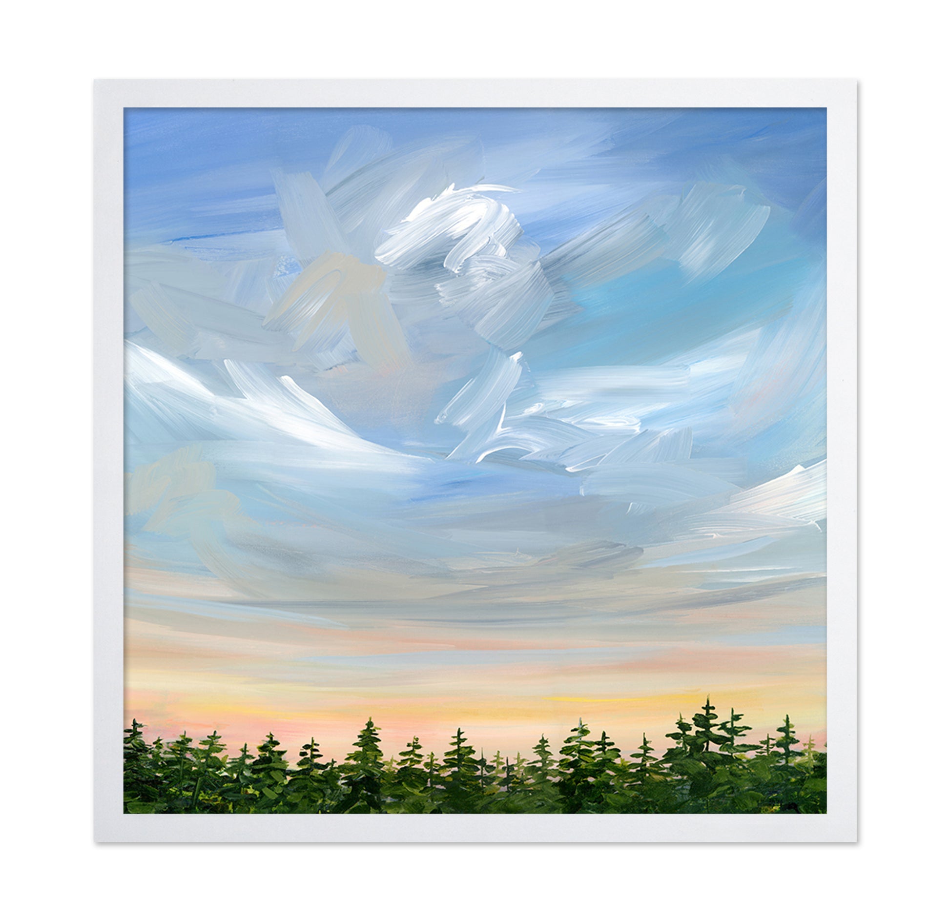 Sky Over Pine Forest