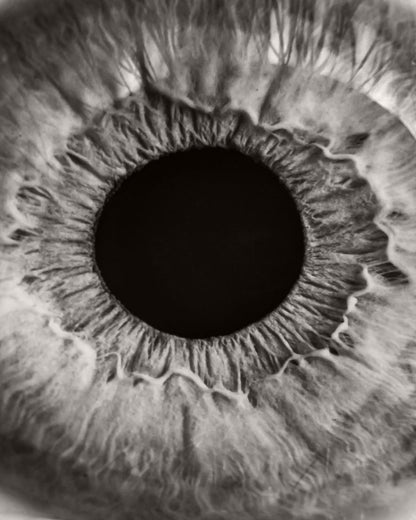Monochrome Iris