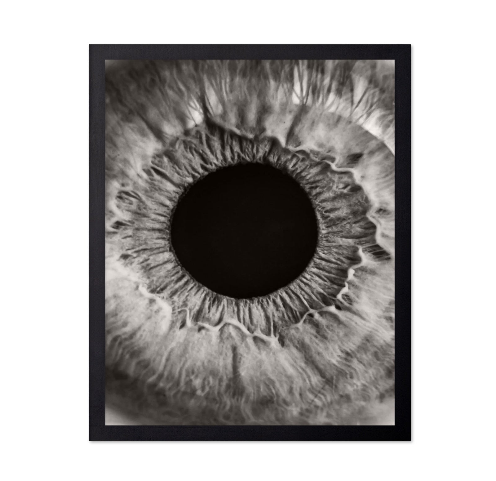 Monochrome Iris