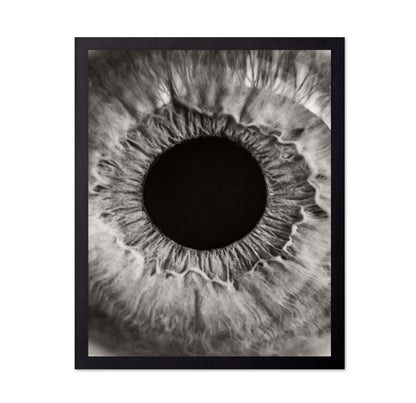Monochrome Iris