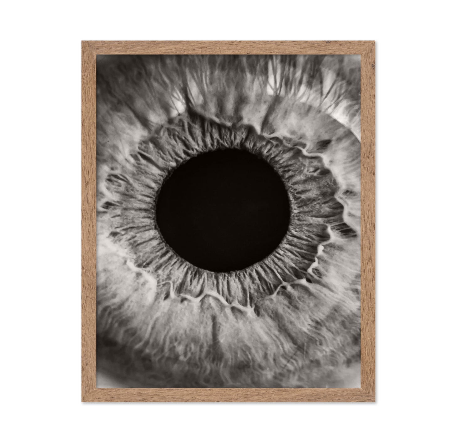 Monochrome Iris