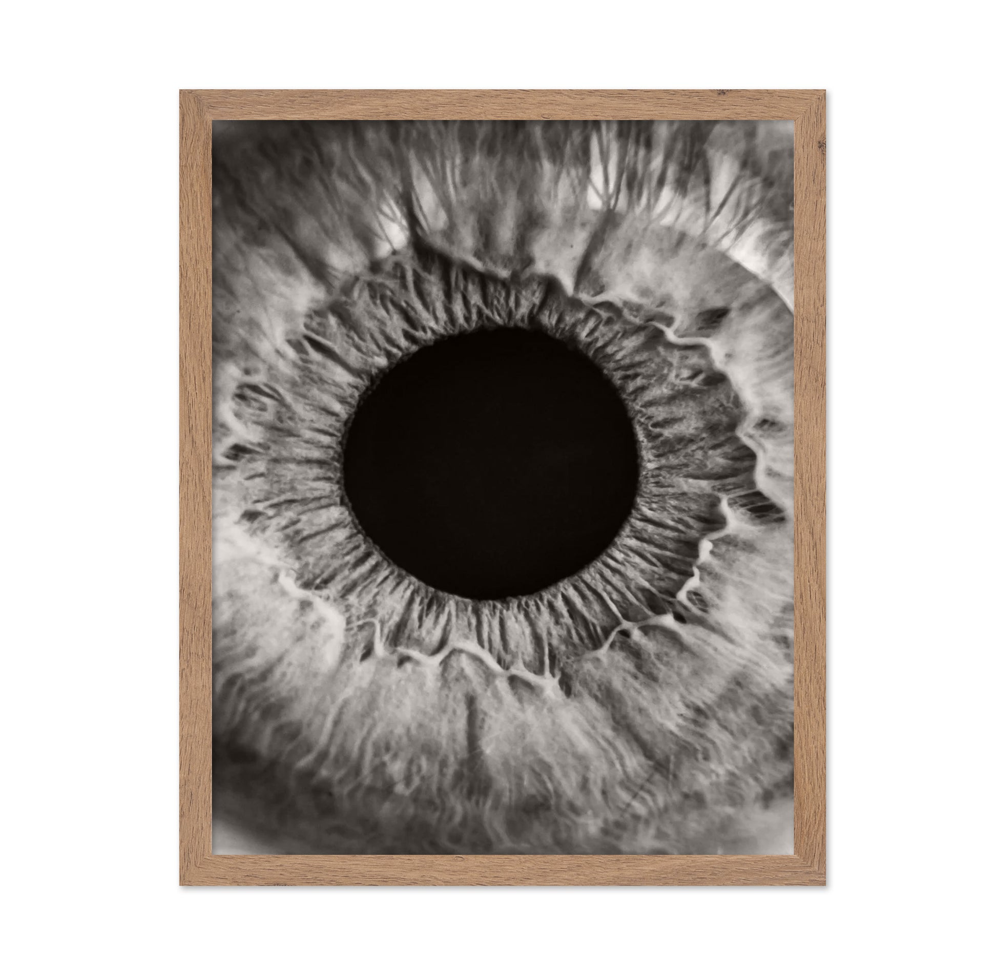 Monochrome Iris