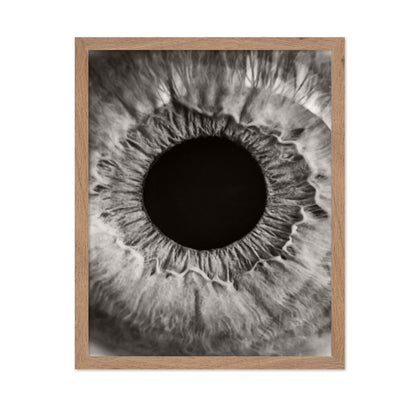 Monochrome Iris