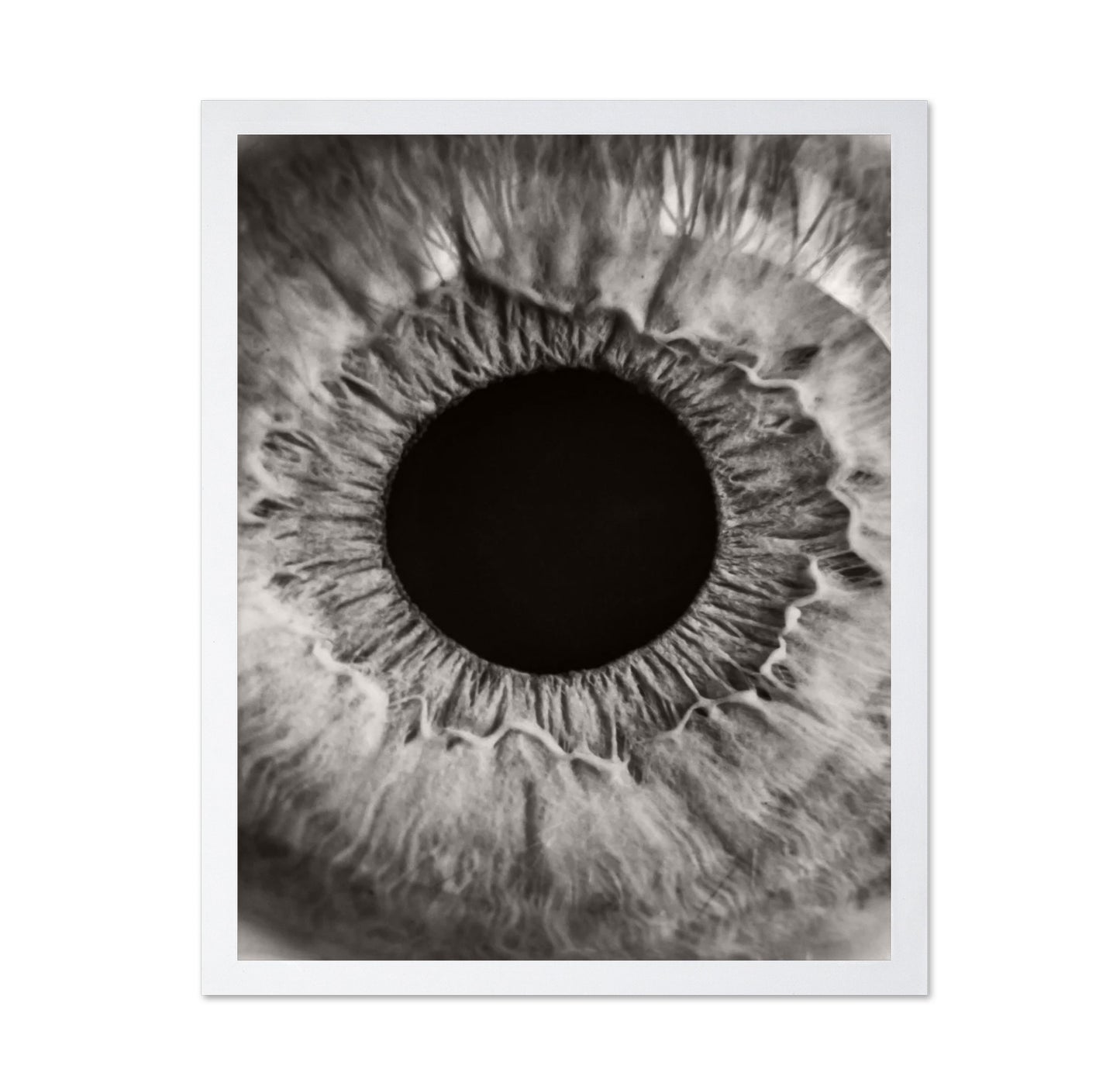 Monochrome Iris