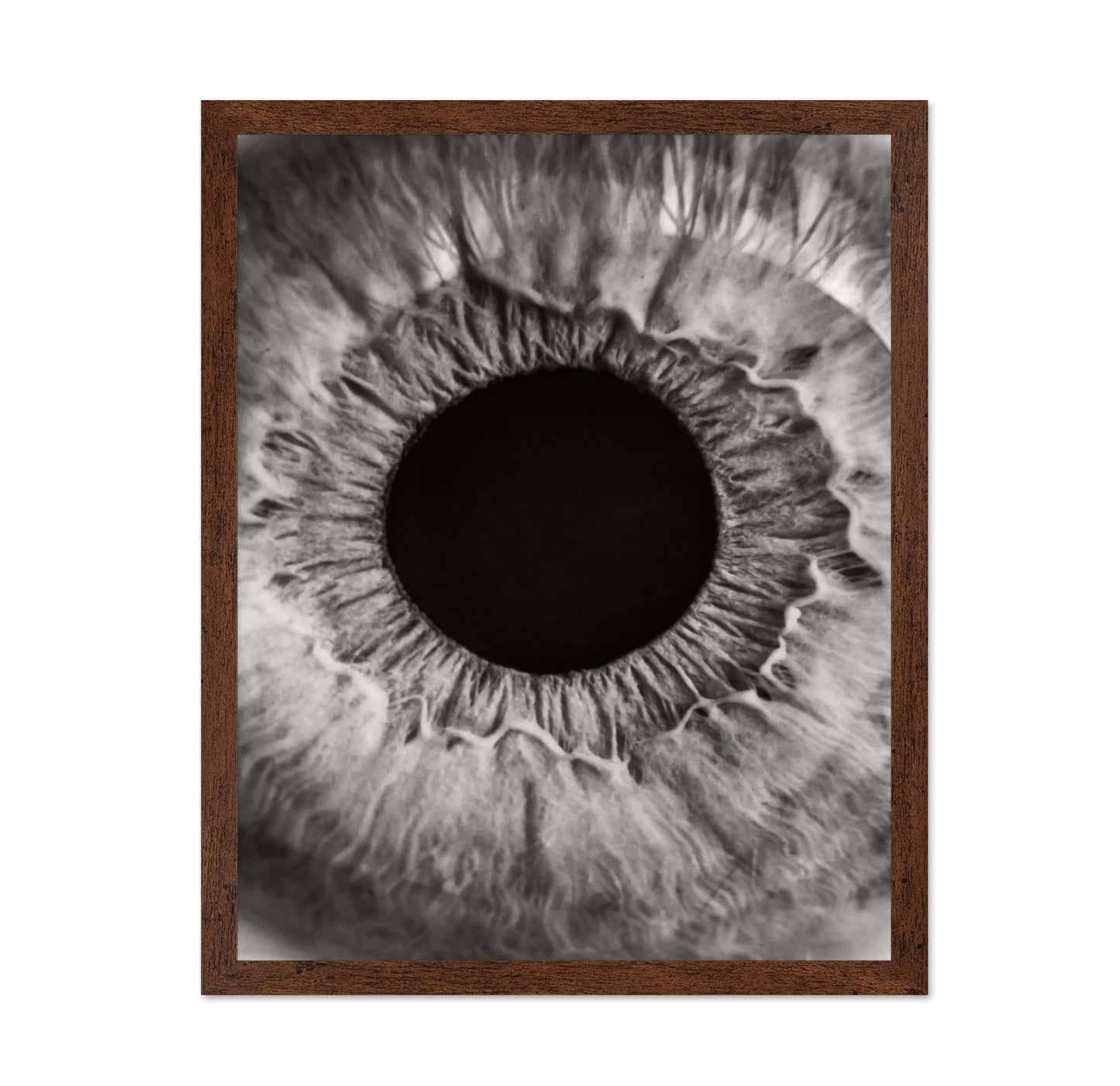 Monochrome Iris