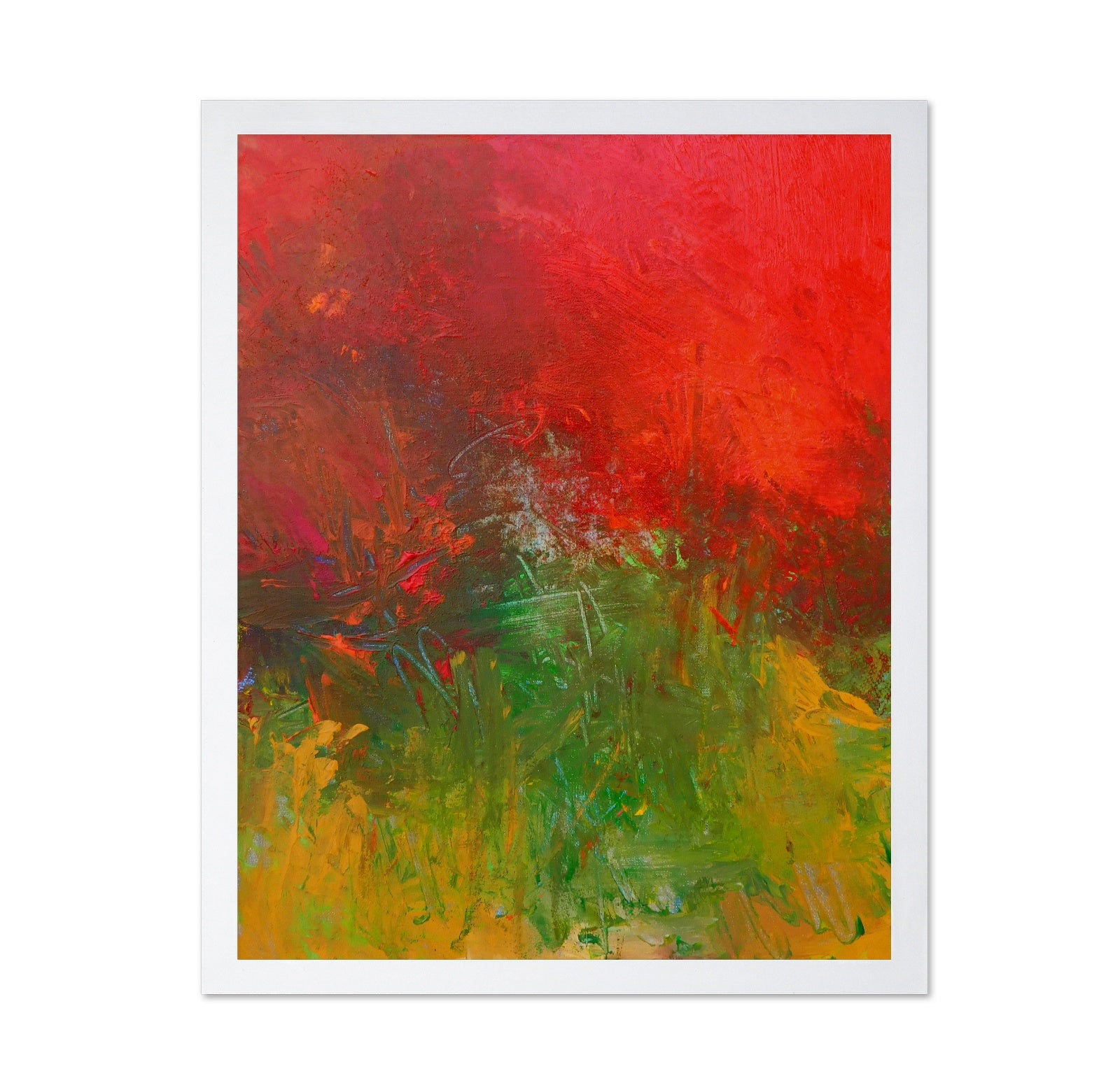 Tropical Red Canopy