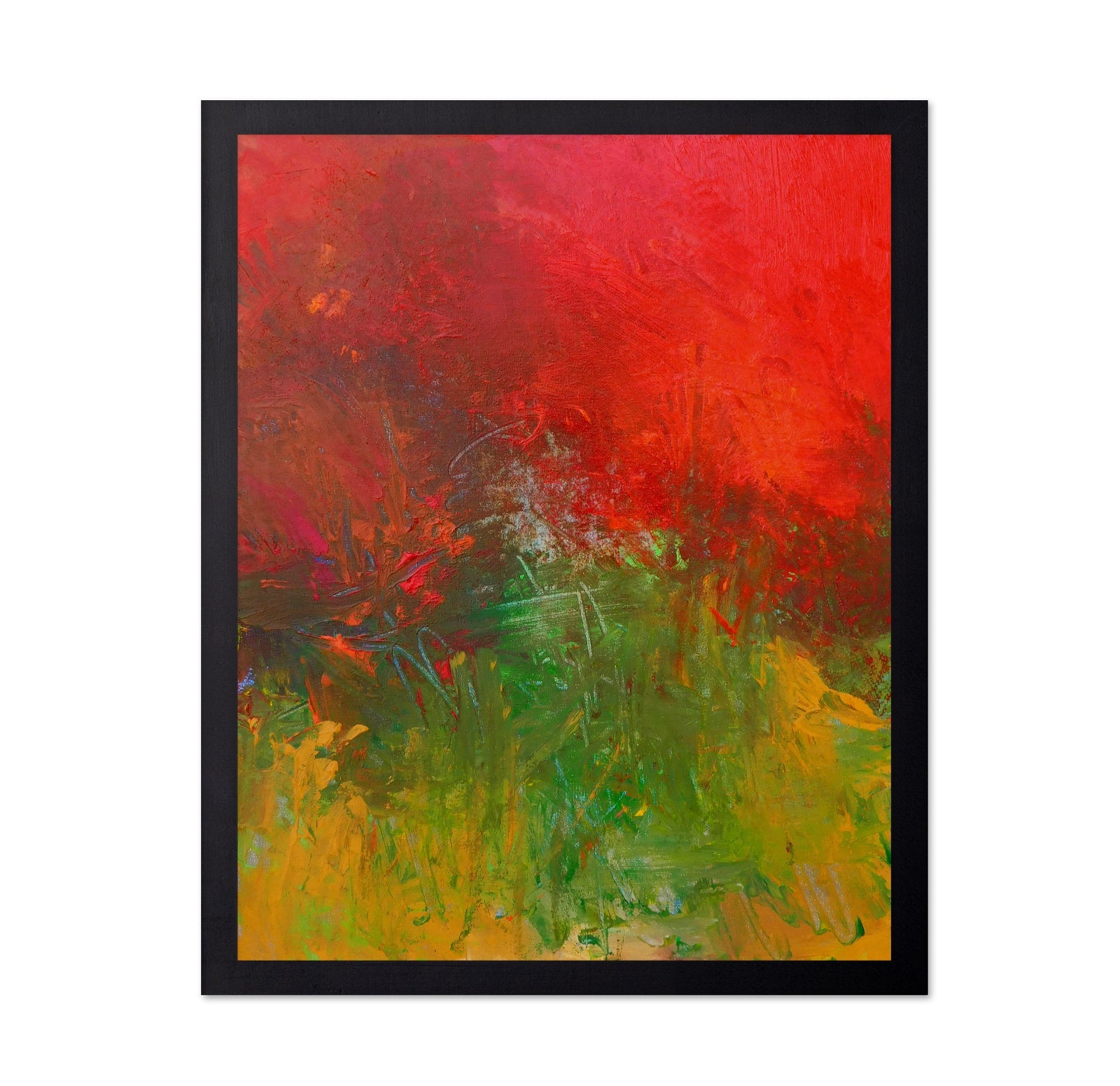 Tropical Red Canopy