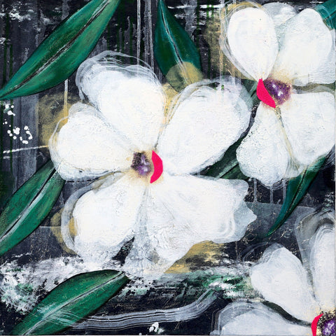 White Orchid Bloom