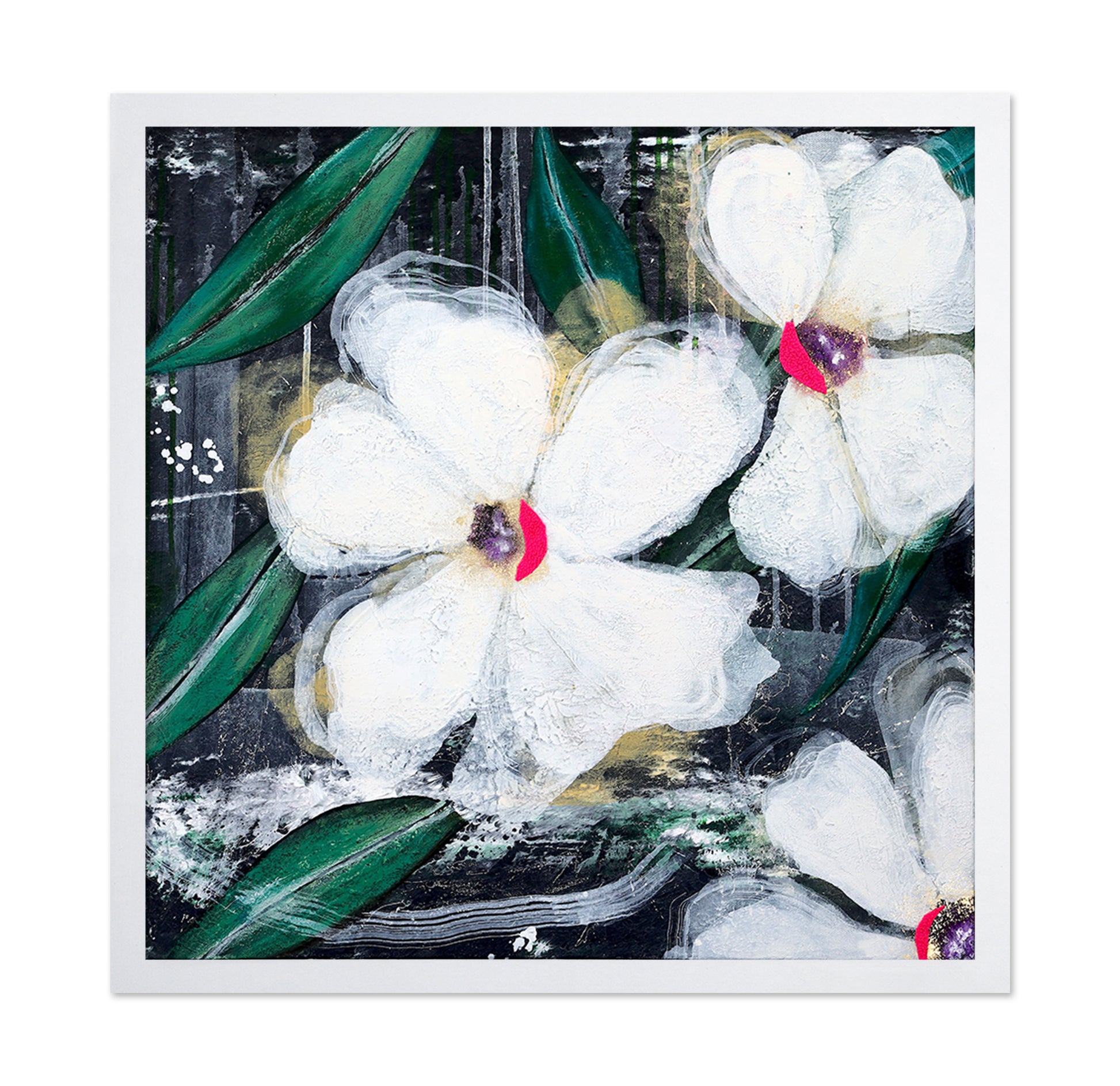 White Orchid Bloom