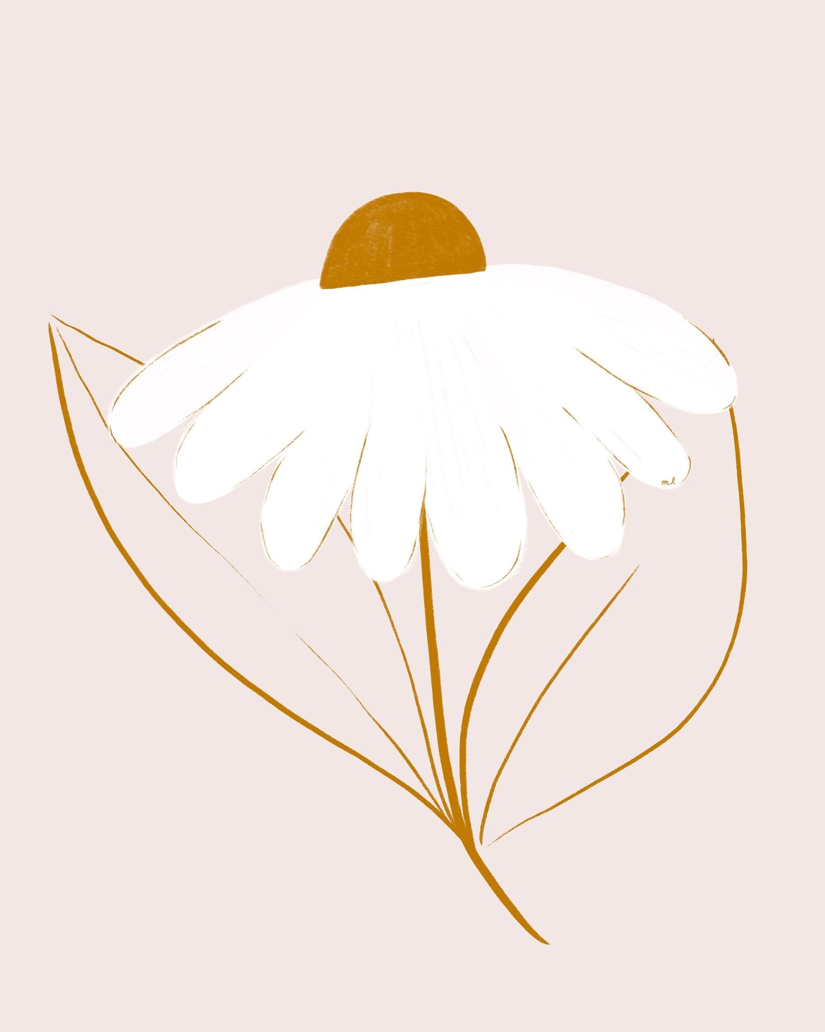 Minimal White Daisy