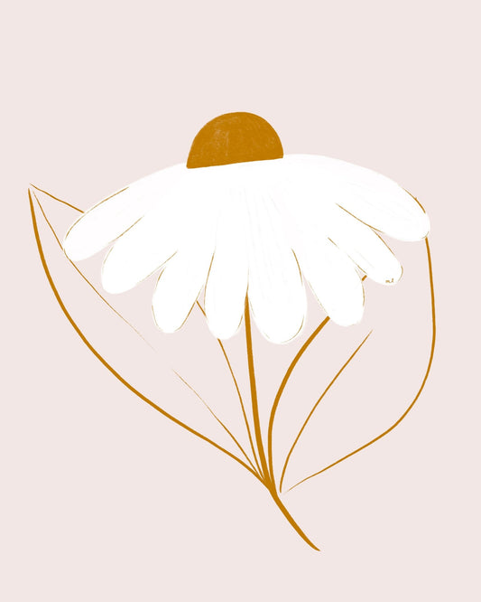 Minimal White Daisy