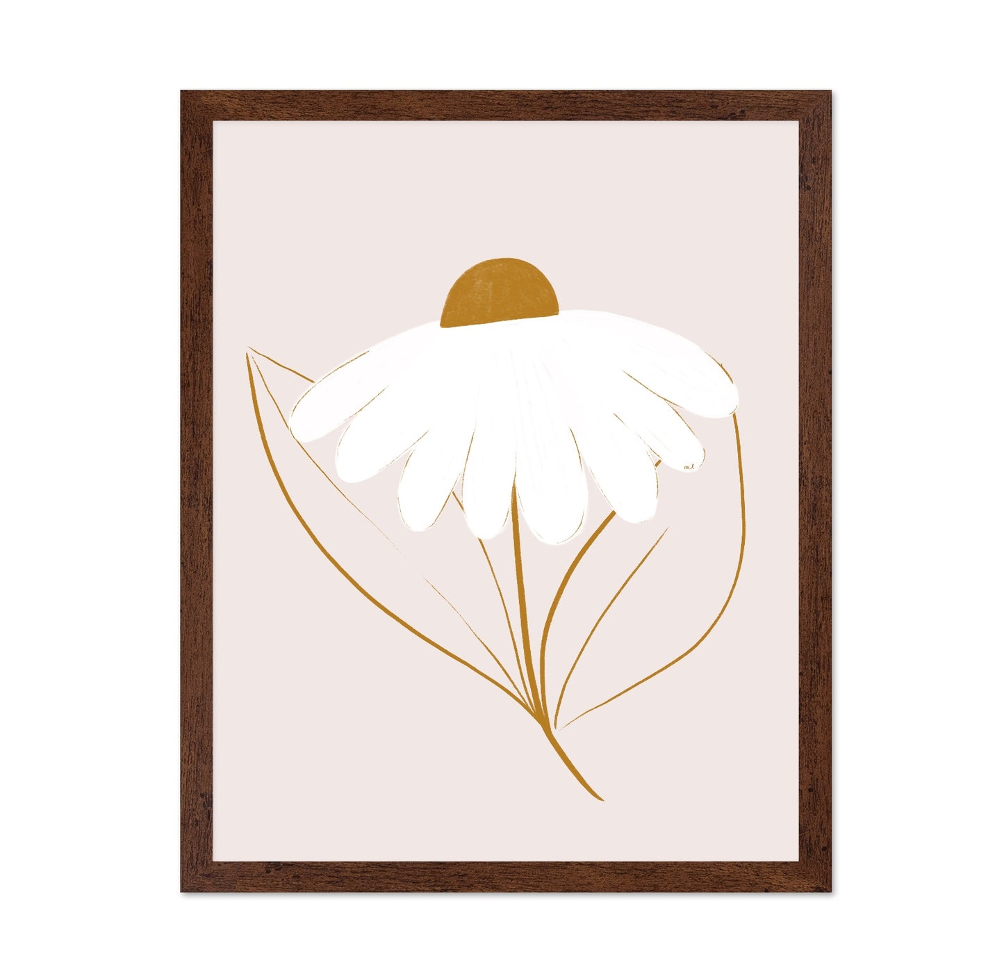Minimal White Daisy