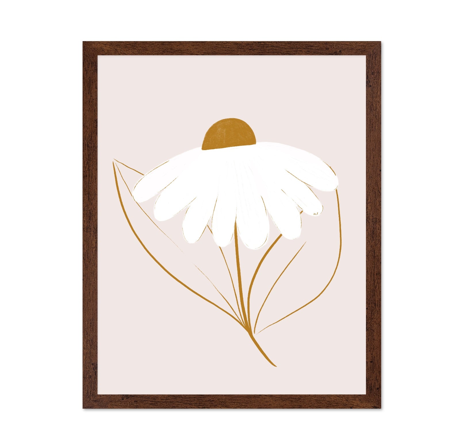 Minimal White Daisy
