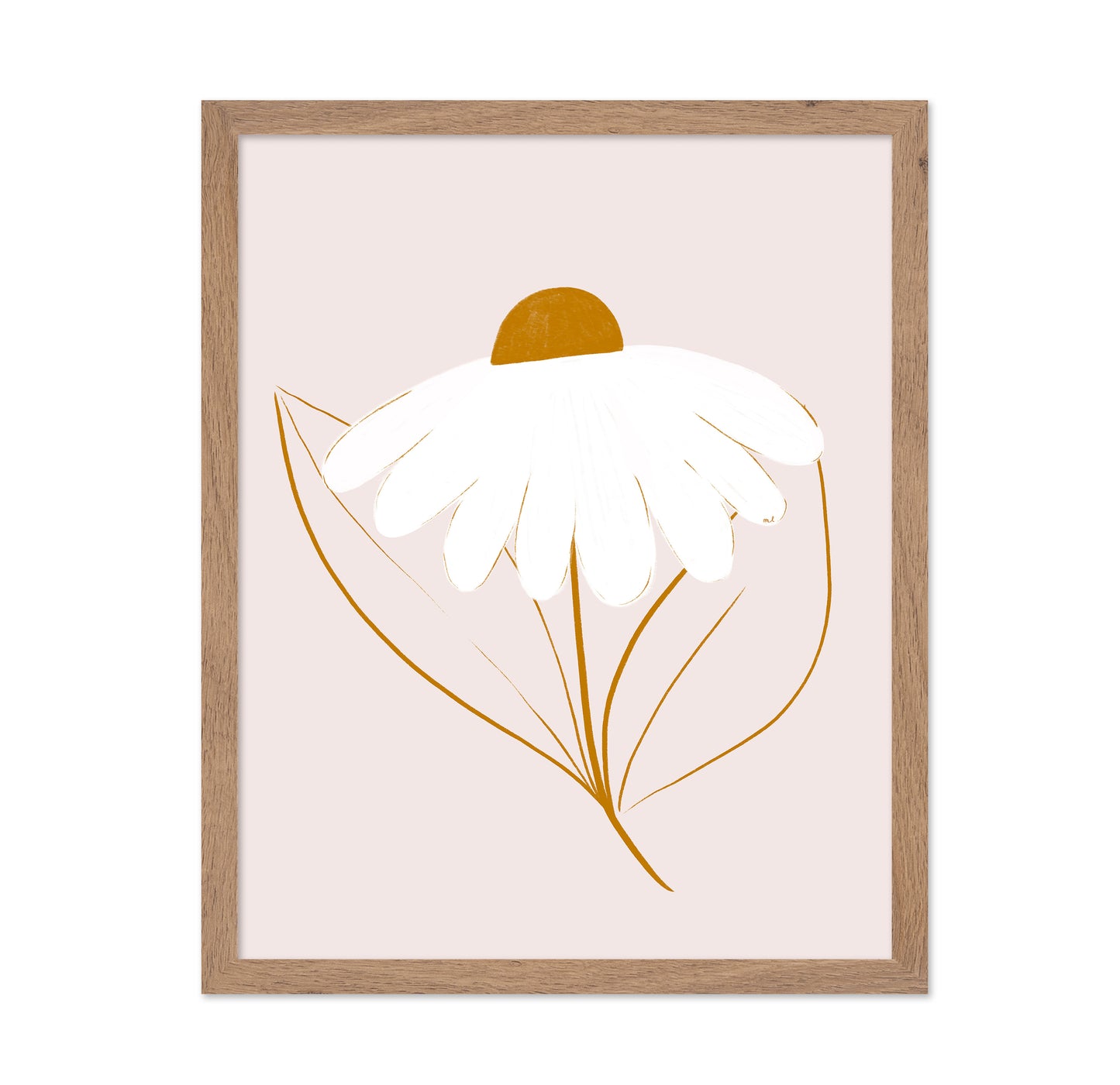 Minimal White Daisy