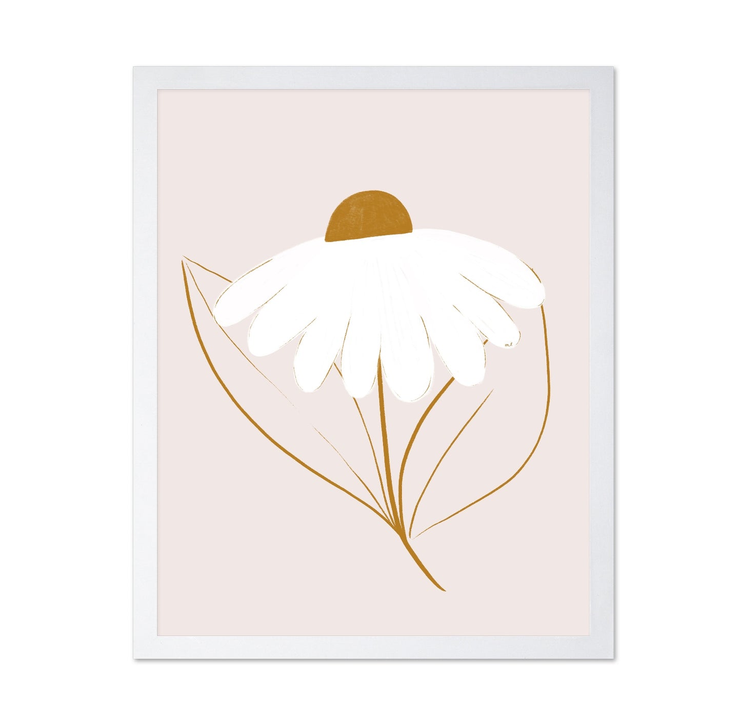 Minimal White Daisy