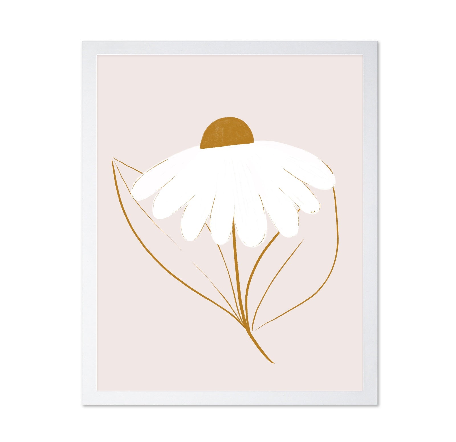 Minimal White Daisy