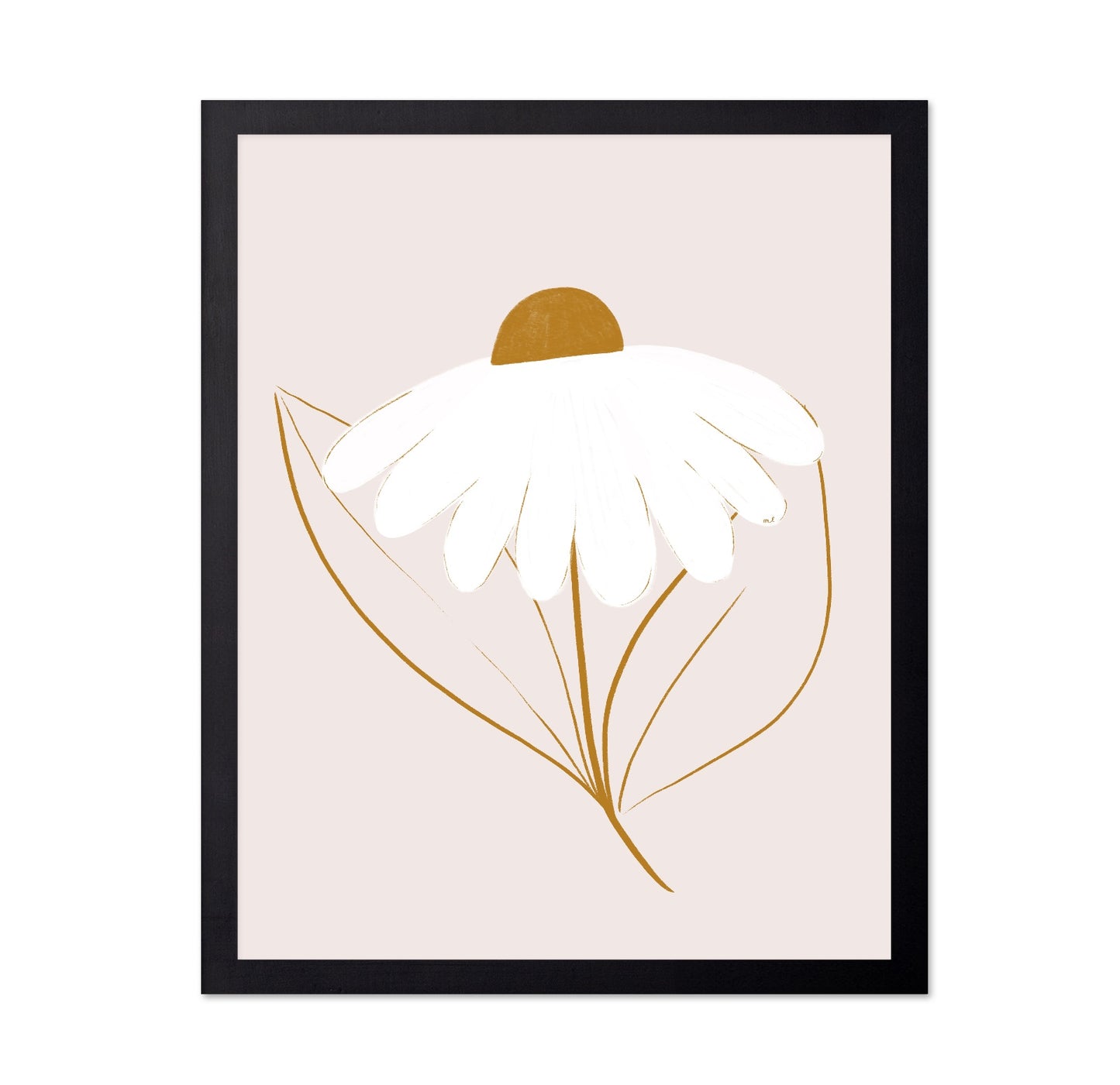 Minimal White Daisy