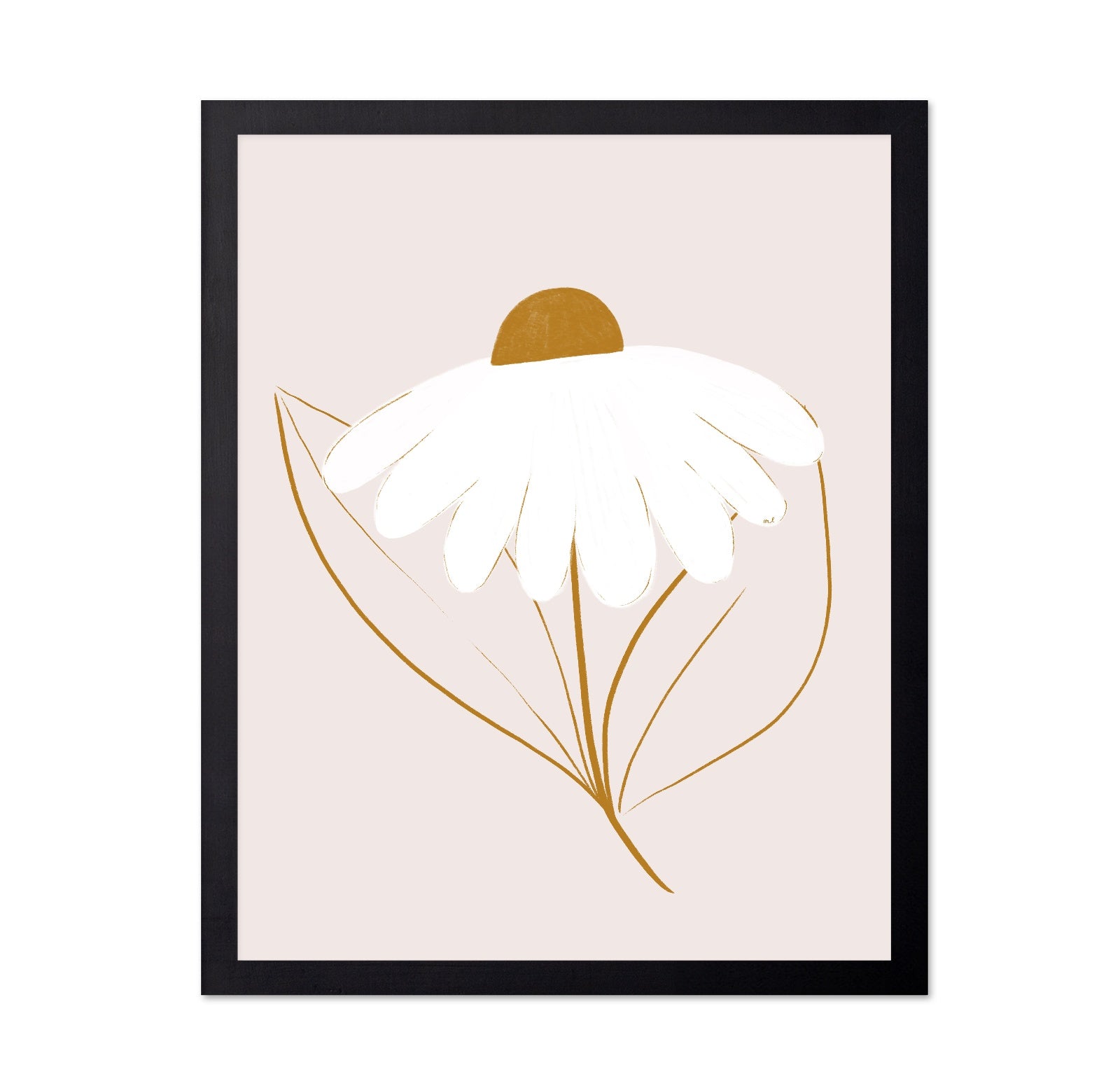 Minimal White Daisy