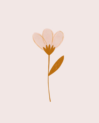 Minimal Soft Flower