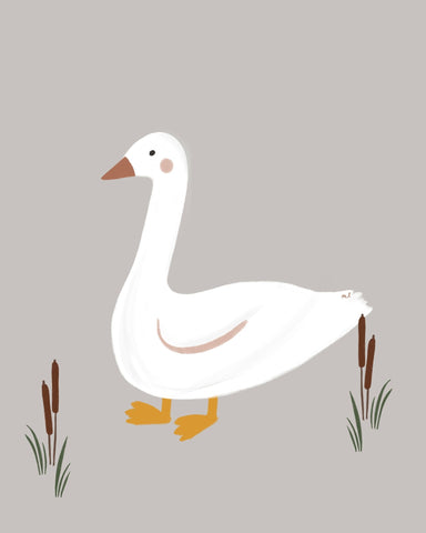 Little White Goose