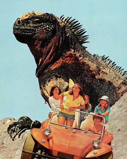 Iguana Beach Escape