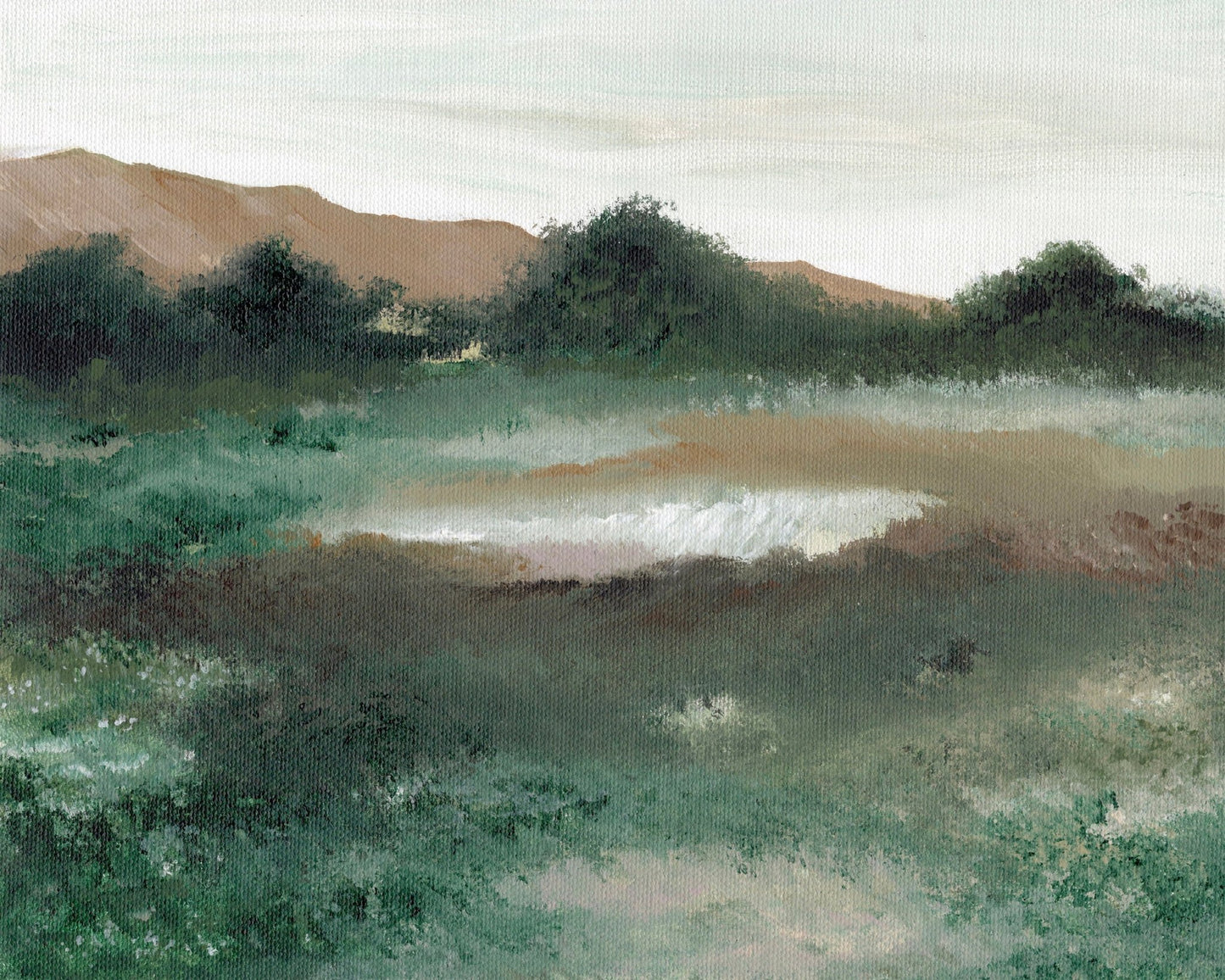 Misty Green Field