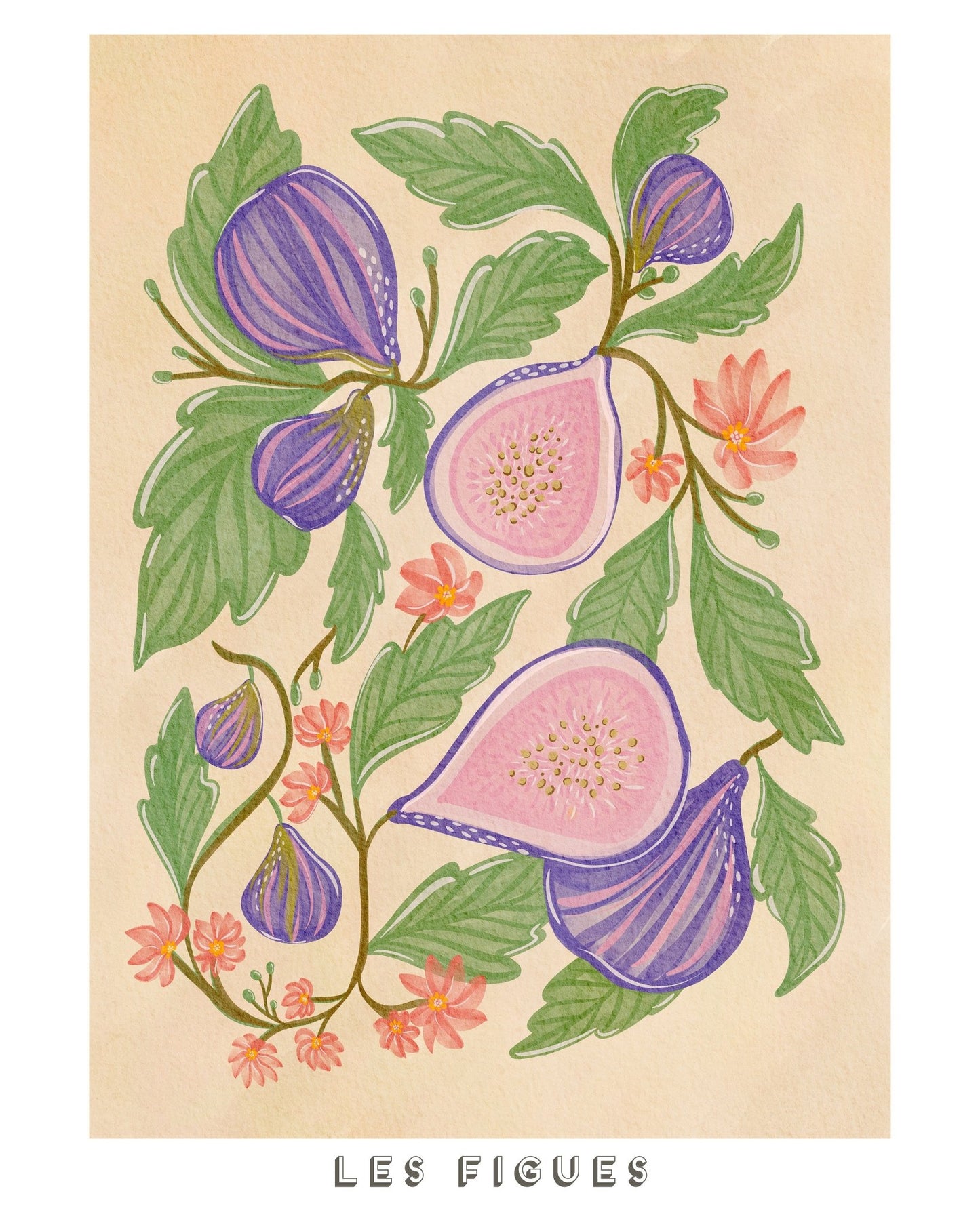 Fig Blossom Branch