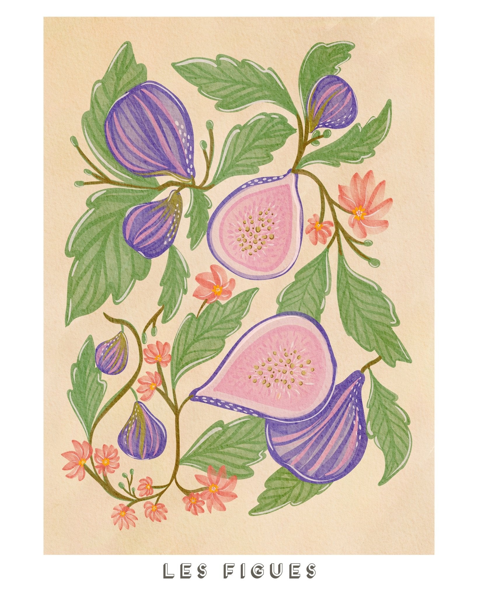 Fig Blossom Branch