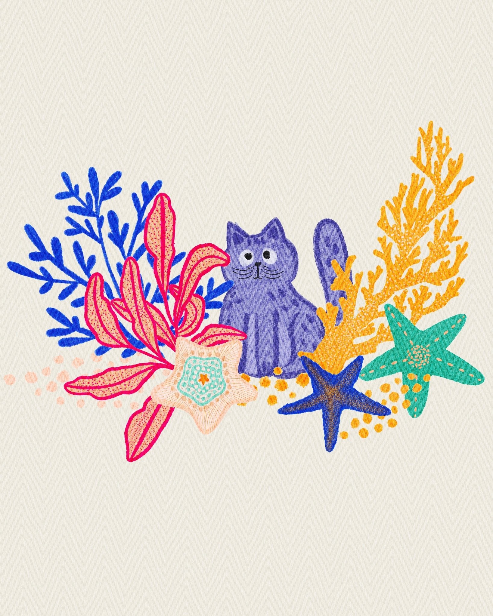 Playful Coral Cat