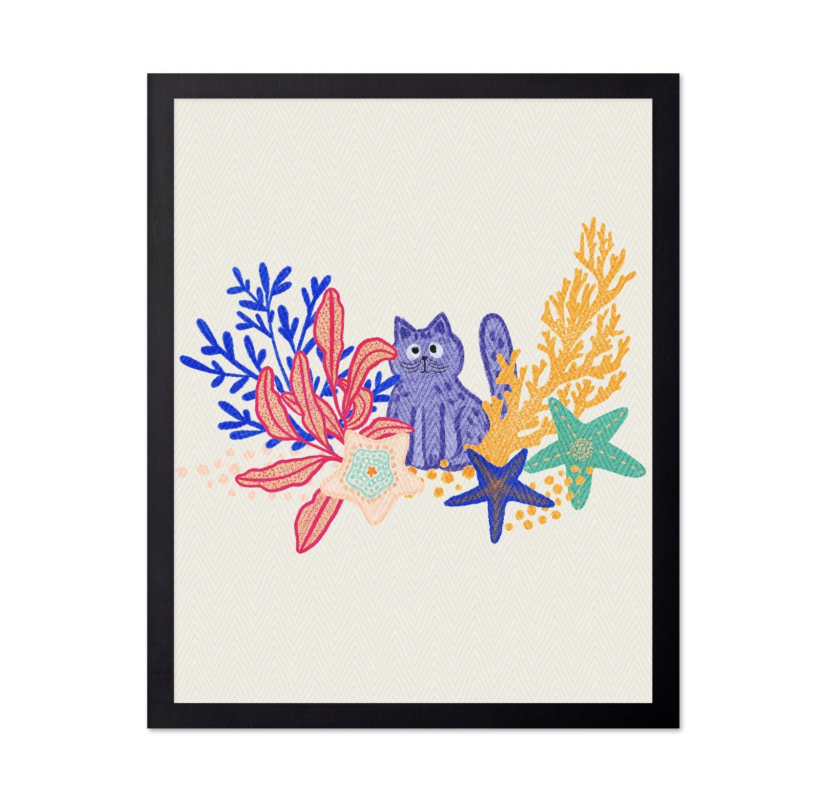 Playful Coral Cat